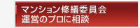 �ޥ󥷥�����Ѱ��񱿱ĤΥץ�������