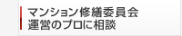 �ޥ󥷥�����Ѱ��񱿱ĤΥץ�������